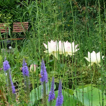 Apartamento Himmlingen