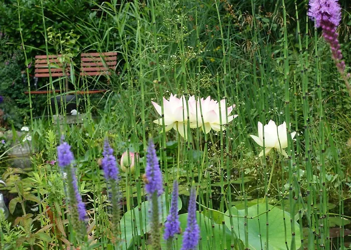 Lägenhet Himmlingen