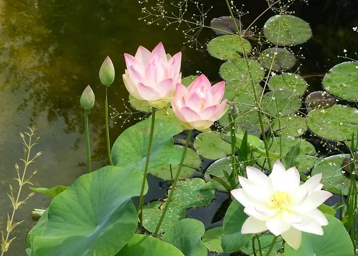 Himmlingen Appartamento